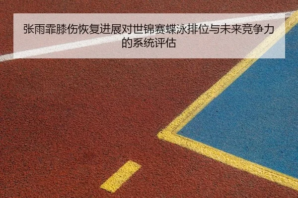 zhang-yu-fei-xi-shang-hui-fu-jin-zhan-dui-shi-jin-sai-die-yong-pai-wei-yu-wei-lai-jing-zheng-li-de-xi-tong-ping-gu-2-254.jpg